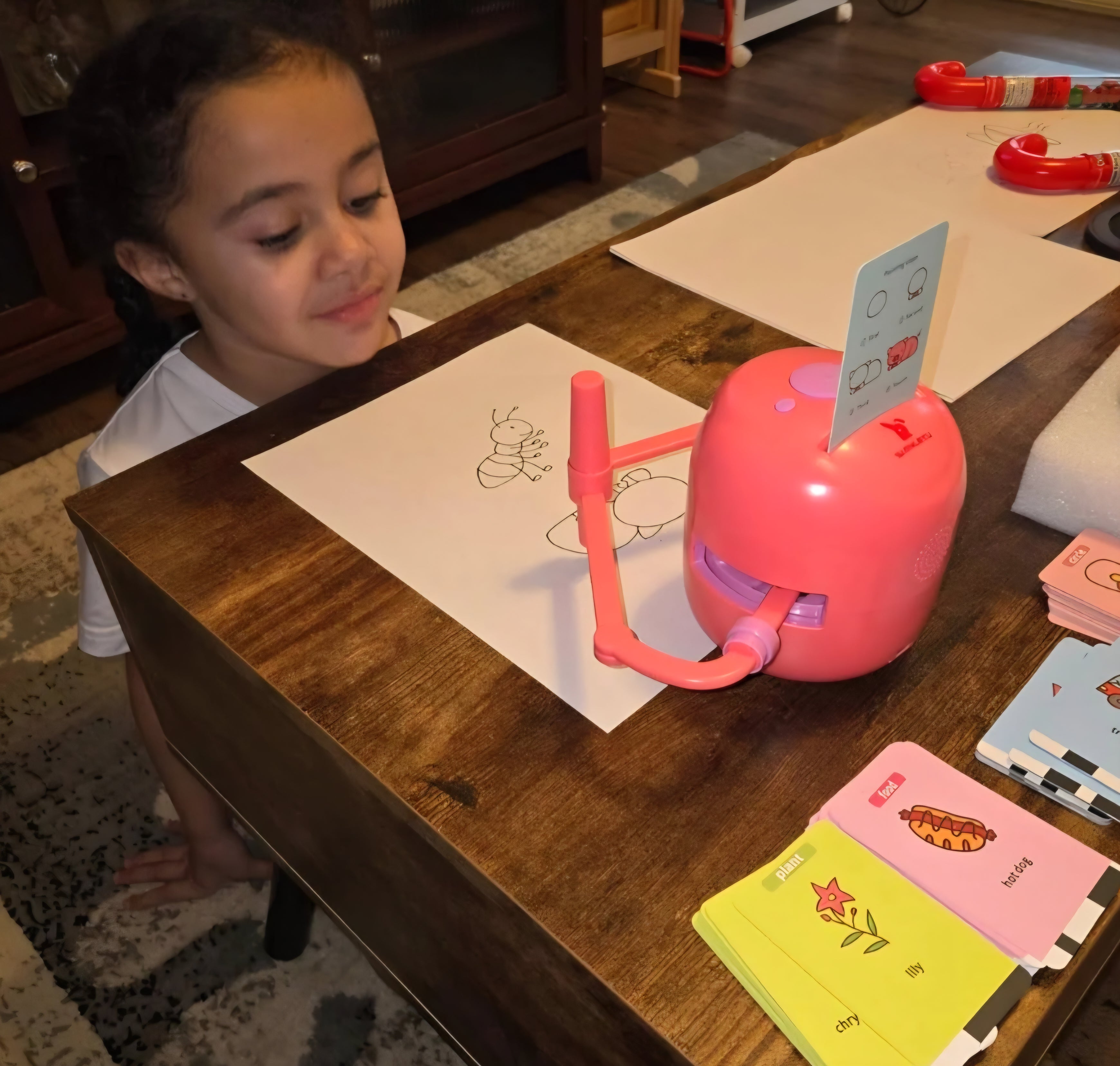 Megan S., Chicago, USA